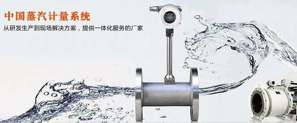 蒸汽流量計及蒸汽計量系統(tǒng)