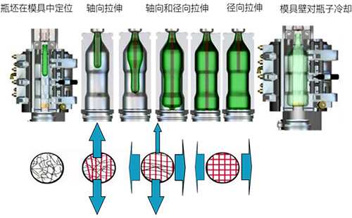 PET瓶的吹制過(guò)程中的機(jī)械拉伸動(dòng)作分解