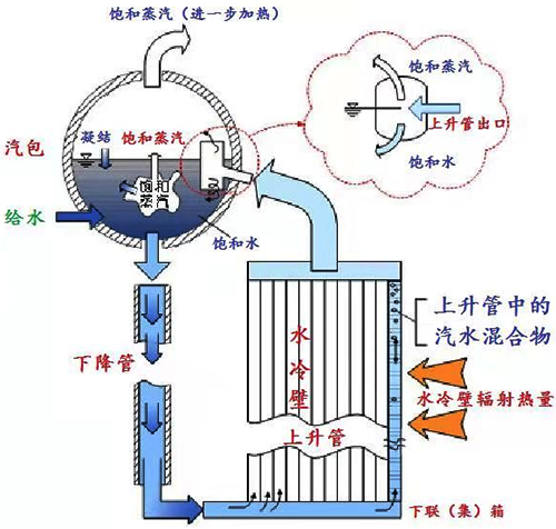 鍋爐水系統(tǒng)結(jié)構(gòu)示意圖